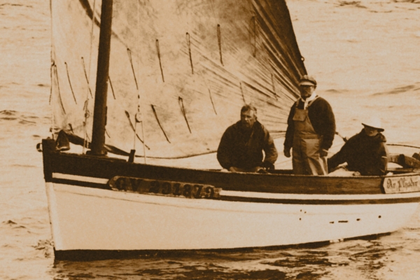 vg291879